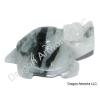 Jade Dragon Turtle Pendant of Abundance